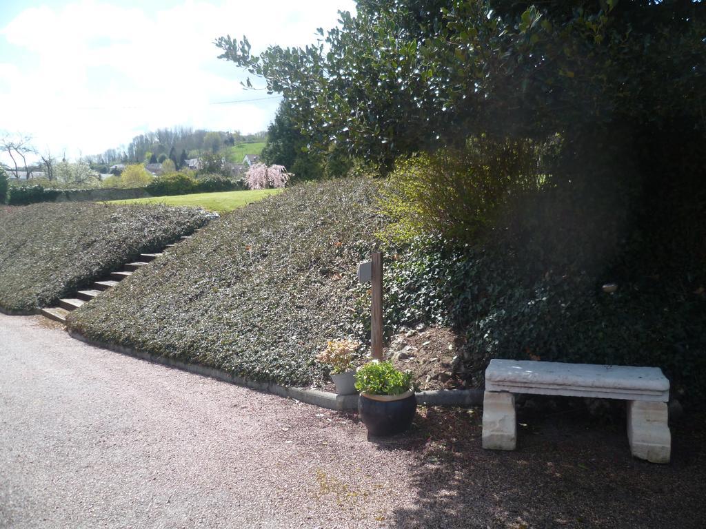 D'anciennes 